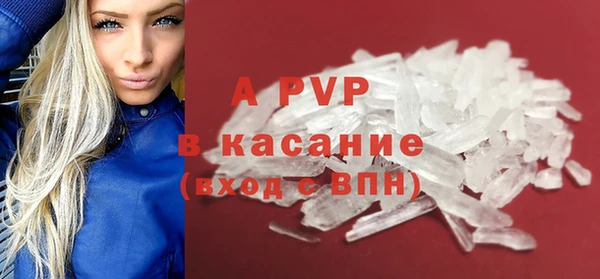 мдпв Богданович