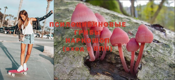 ПСИЛОЦИБИНОВЫЕ ГРИБЫ Балабаново