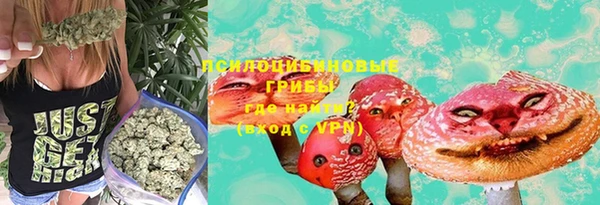 ПСИЛОЦИБИНОВЫЕ ГРИБЫ Балабаново
