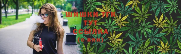 сатива Богородск