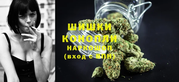 прущие грибы Баксан