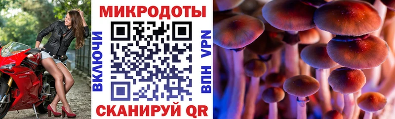 Псилоцибиновые грибы мухоморы  Улан-Удэ 