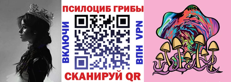 Псилоцибиновые грибы мухоморы Улан-Удэ